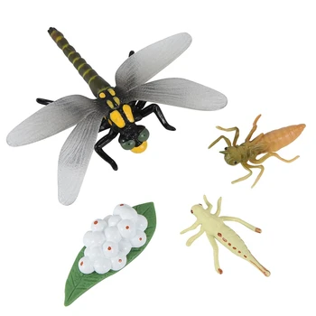 Жизненный цикл стрекозы, модель роста насекомых, цикл роста животных, научные развивающие игрушки для детей